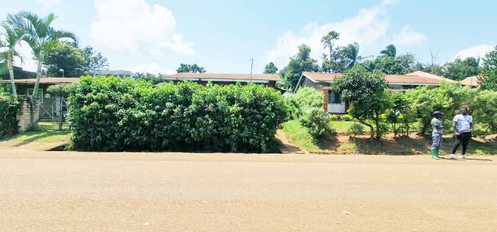 WhatsApp Image 2025-07-29 at 13.32.46.jpg